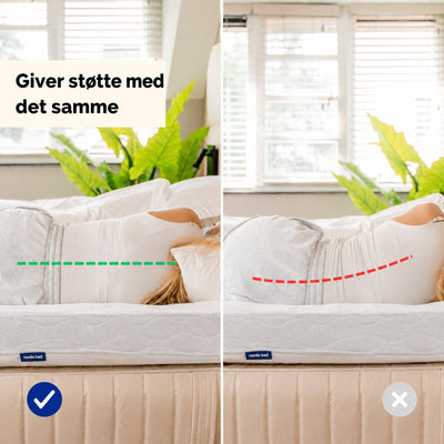Nordic Bed Support 2.0